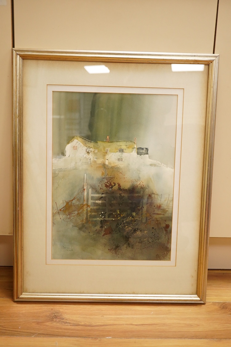 After Andreas Ludwig Kruger (1743-1822), zoological study of a pike (Esox lucius), colour print, 22 x 39cm